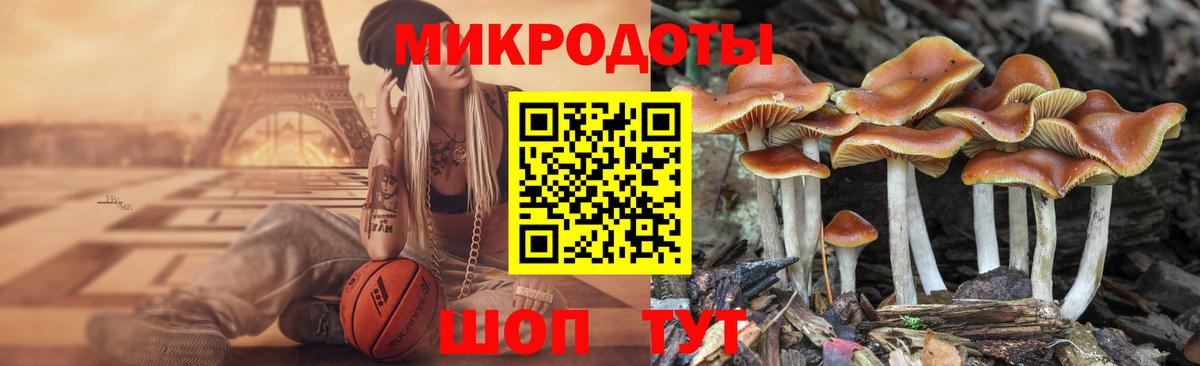 магазин продажи наркотиков  Вход с VPN  Ржев  Галлюциногенные грибы мицелий 
